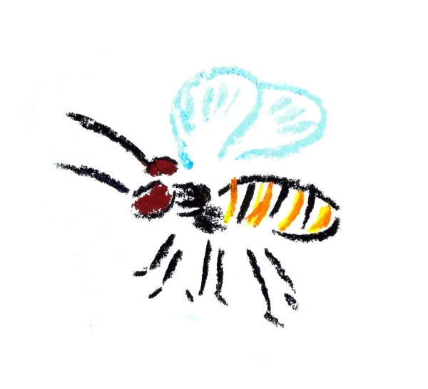 Pszczoła prosta ilustracja mucha — Zdjęcie stockowe