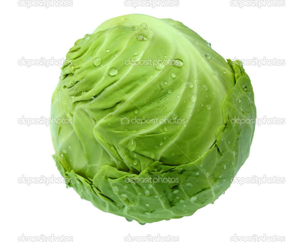 head of young green cabbage