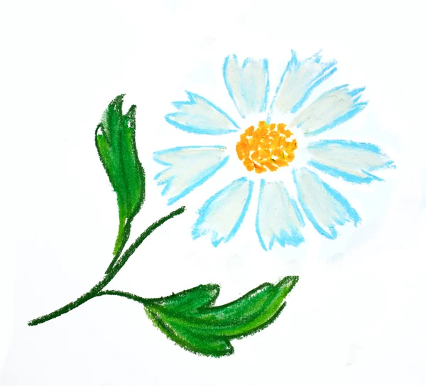 Blå blomma illustration — Stockfoto