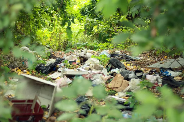 Ormandaki çöplük.