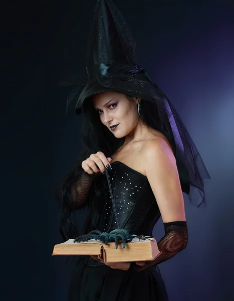 Bruxa encantadora de Halloween — Fotografia de Stock