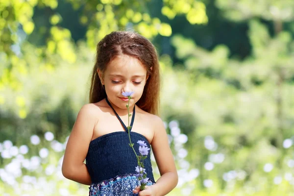 Niña en el prado — Foto de Stock