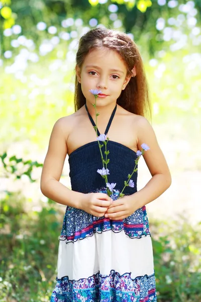 Niña en el prado — Foto de Stock