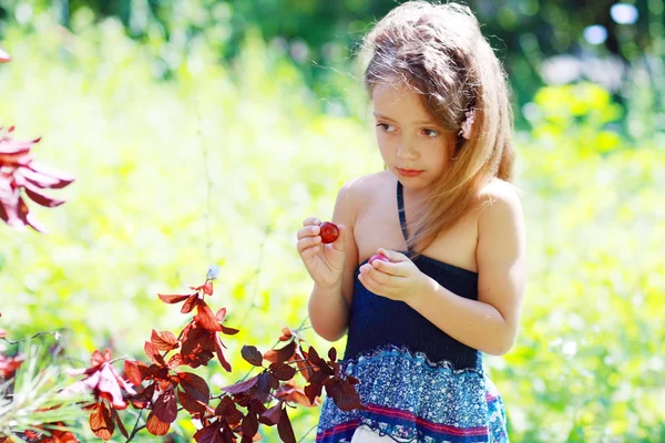 Kız yemek Erik — Stok fotoğraf