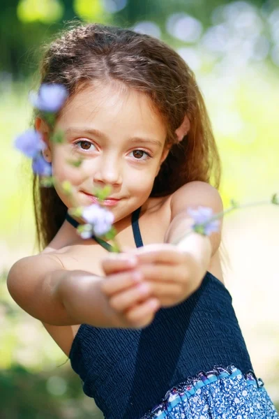 Lilla flickan på ängen — Stockfoto