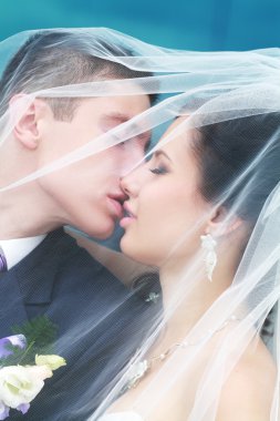 gelin damat