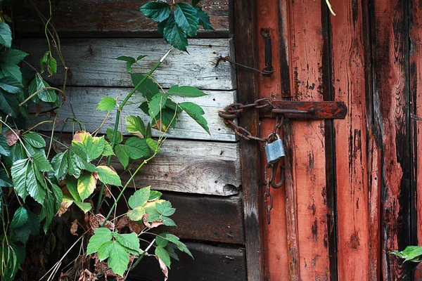 Old door locked with padlock — Stock Photo, Image