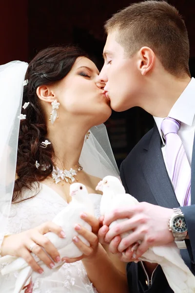 Bride and groom — Stock Photo, Image