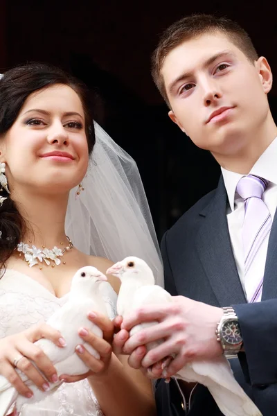 Bride and groom — Stock Photo, Image