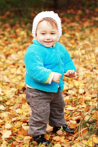 Brown leaves background — Stock Photo, Image