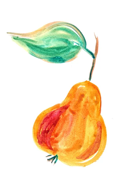 Pear watercolor — Stock Photo, Image