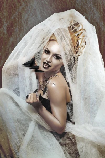Spider queen — Stock Image Spider queen Stock Image