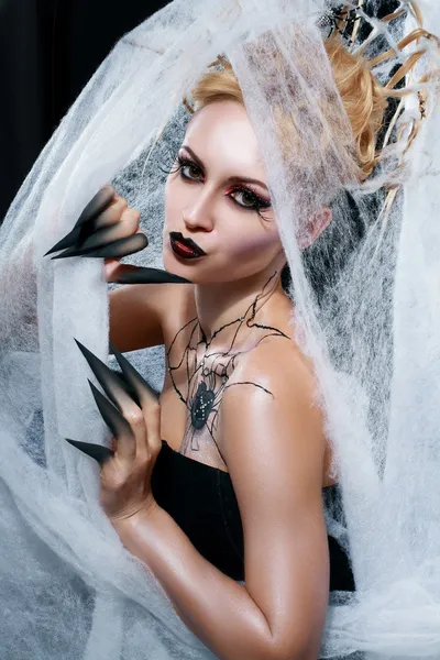 Spider queen — Stock Image Spider queen Royalty Free Stock Images