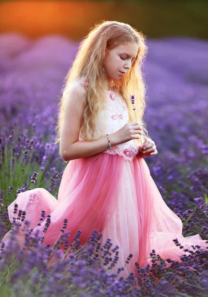 Schöne Kleine Mädchen Rosa Kleid Genießen Sommer Lavendelfeld — Stockfoto