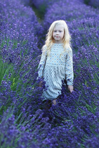 Schöne Kleine Mädchen Boho Kleid Genießen Sommer Lavendelfeld — Stockfoto
