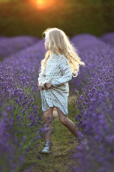 Schöne Kleine Mädchen Boho Kleid Genießen Sommer Lavendelfeld — Stockfoto