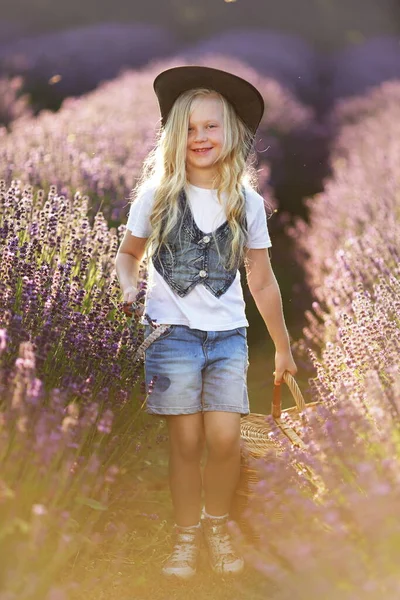 Güzel Küçük Kız Kovboy Şapkası Yaz Lavanta Tarlasının Tadını Çıkar — Stok fotoğraf