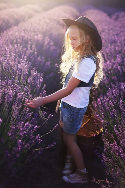 Güzel Küçük Kız Kovboy Şapkası Yaz Lavanta Tarlasının Tadını Çıkar — Stok fotoğraf