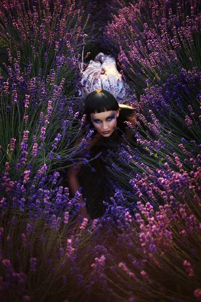 Black Magic Model Lavender Field Demon Crawl — Foto Stock