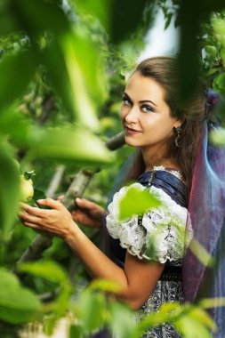 apple tree harvest beautiful woman in princess dress