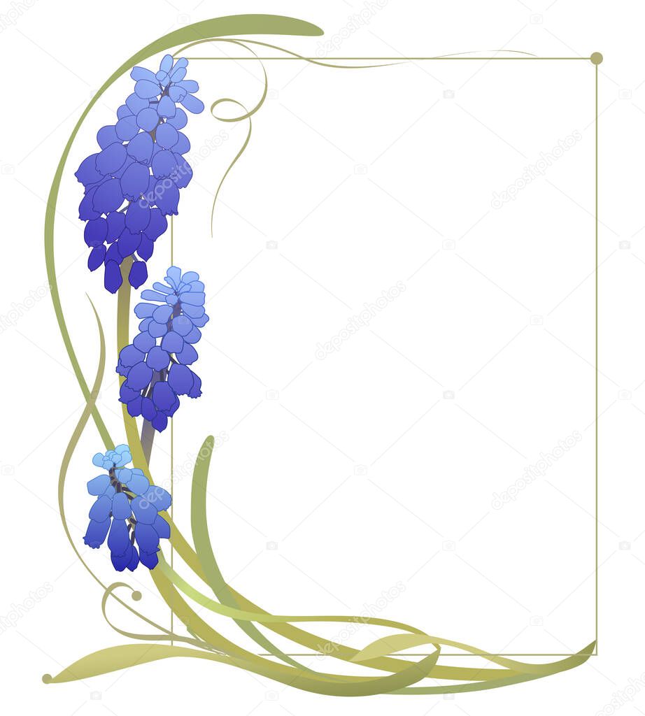 blue muscari flower on a postcard