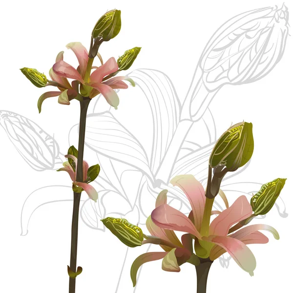 Botanisk Skitse Ung Skyde Træ Grafiske Akvarel Stilarter Hvid Baggrund – Stock-vektor