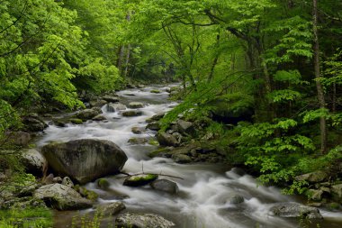 Büyük Dumanlı Dağların Tremont Küçük Güvercin Nehri