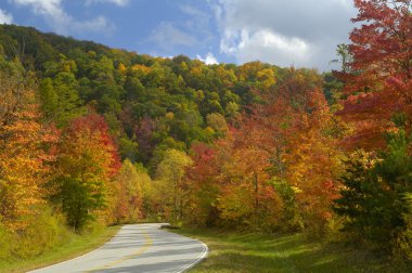Cherohala Skyway geç Ekim ayında sonbahar yaprak renk sezonunun zirvesinde.