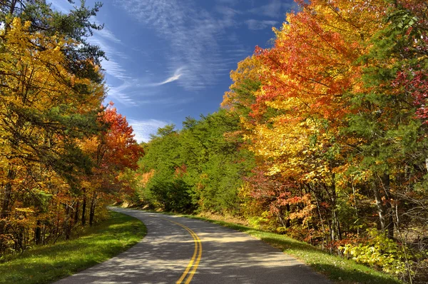 Hojas coloridas en grandes montañas humeantes, TN, Estados Unidos — Foto de Stock