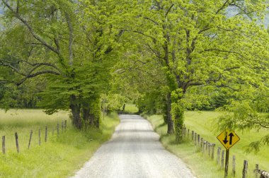 Dumanlı Dağların Cades Koyu'ndaki Sparks Lane, Tn, Amerika Birleşik Devletleri.