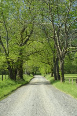 Dumanlı Dağların Cades Koyu'ndaki Sparks Lane, Tn, Amerika Birleşik Devletleri.