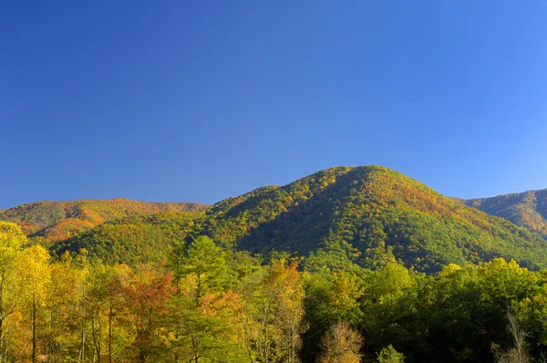 Cades Cove in Late October — Stock Photo, Image