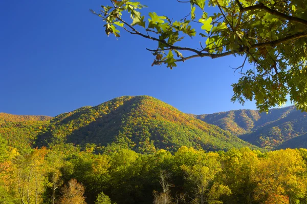 Cades Cove no final de outubro — Fotografia de Stock