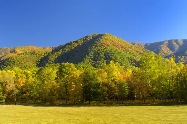 Cades Cove a finales de octubre — Foto de Stock