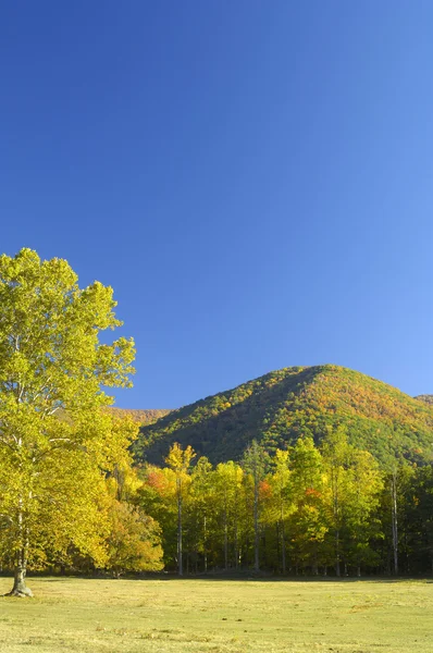 Cades Cove i slutet av oktober — Stockfoto