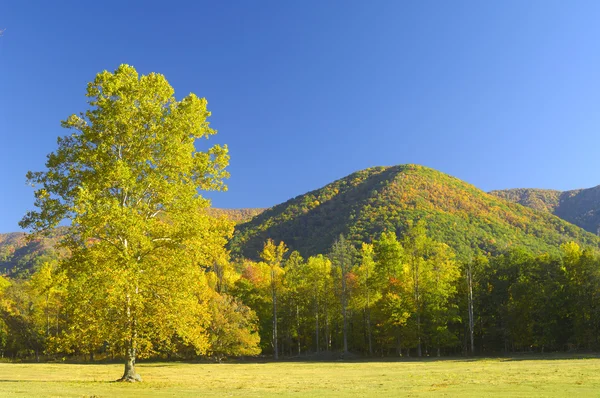 Cades Cove a fine ottobre — Foto Stock