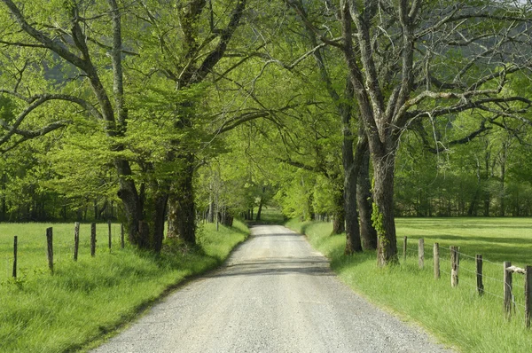 Sparks Lane in Cades Cove of Smoky Mountains, TN, USA. — Stock Photo, Image
