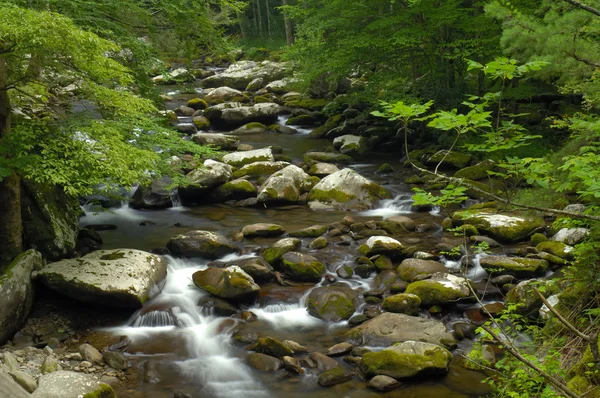 Tremont en el Parque Nacional Great Smoky Mountains, TN USA — Foto de Stock