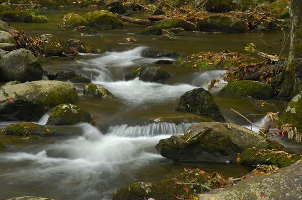 Río Little Pigeon en otoño en el Parque Nacional Great Smoky Mountains — Foto de Stock