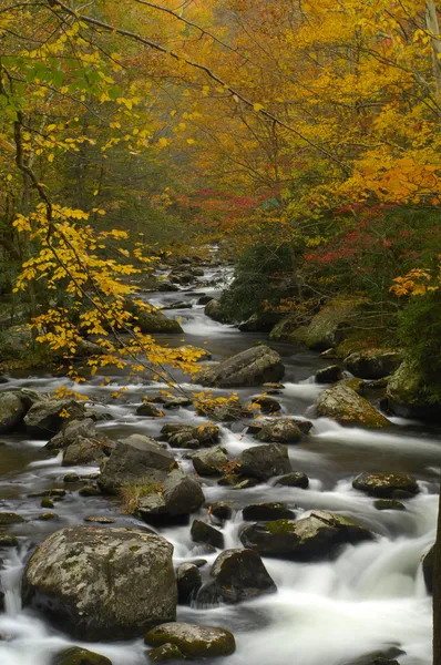 Río Little Pigeon en otoño en el Parque Nacional Great Smoky Mountains — Foto de Stock