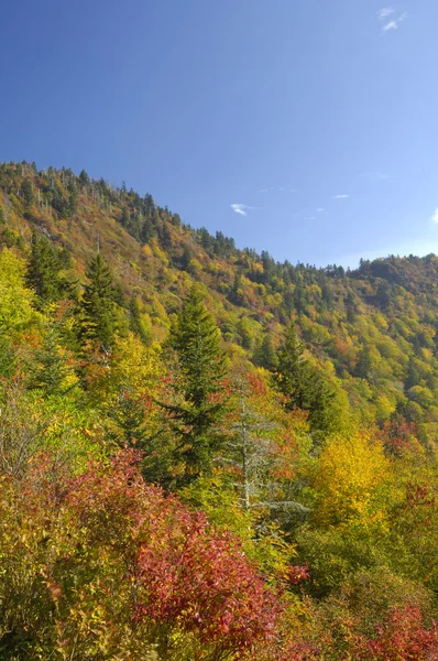 Blue Ridge Parkway en Waterrock Knob en otoño — Foto de Stock