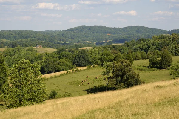 Una bella scena pastorale idilliaca americana di "down on the farm" ." — Foto Stock