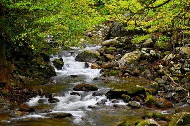 Great Smoky Mountains, TN, ABD 'deki Küçük Güvercin Nehri' nin ortasındaki şelaleler.