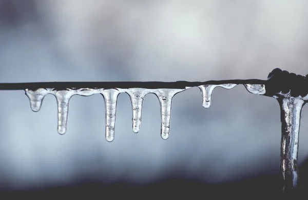 Draht mit Eiszapfen — Stockfoto