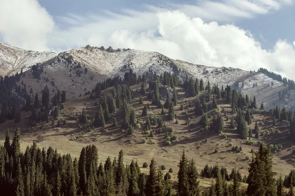 Montañas — Foto de Stock