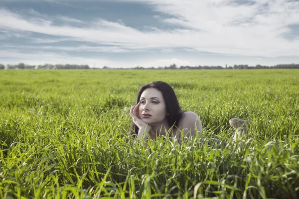 In een veld — Stockfoto