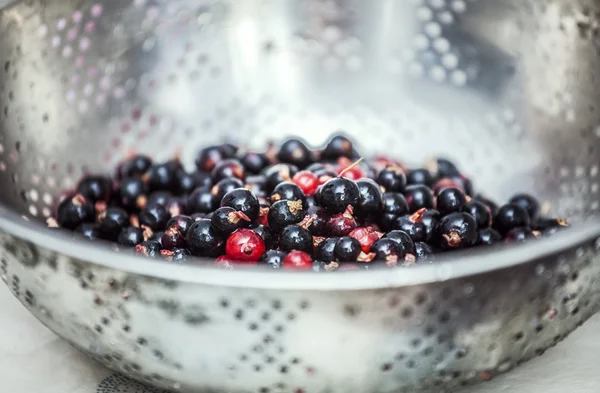 Currant — Stock Photo, Image