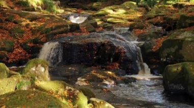 Dağ şelalesinin 4K yavaş çekim videosu ve manzaralı altın sonbahar şelaleleri, Cloghleagh, Wicklow Dağları Ulusal Parkı, İrlanda