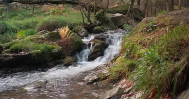 Sahne 4K ağır çekim dağ akarsuları ve şelalelerin Picoresque Ormanı, Glendalough, Wicklow Dağları Ulusal Parkı, Wicklow, İrlanda