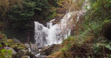 Killarney Ulusal Parkı, Ring of Kerry, Killarney, Kerry, İrlanda 'daki Torc şelalesinin yavaş çekim videosu